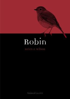Robin - Helen F Wilson - cover