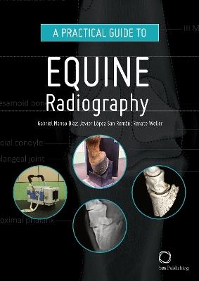 A Practical Guide to Equine Radiography - Gabriel Manso Díaz,Javier López San Román,Renate Weller - cover