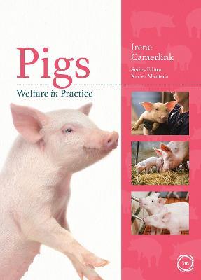 Pigs Welfare in Practice - Irene Camerlink - cover
