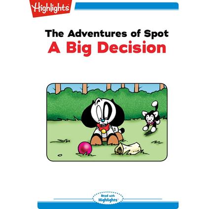 Big Decision, A