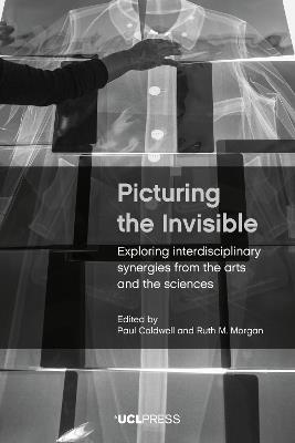 Picturing the Invisible: Exploring Interdisciplinary Synergies from the Arts and the Sciences - cover