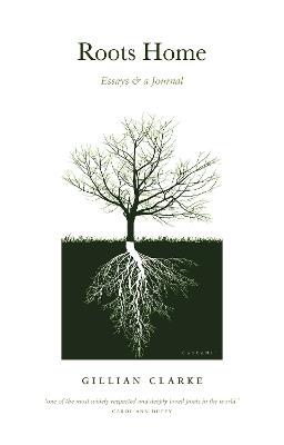 Roots Home: Essays and a Journal - Gillian Clarke - cover