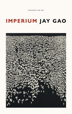 Imperium - Jay Gao - cover