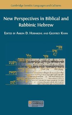 New Perspectives in Biblical and Rabbinic Hebrew - cover