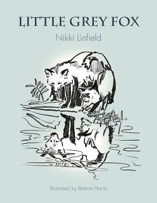 Little Grey Fox: Wondered why things were so hard - Nikki Linfield - cover