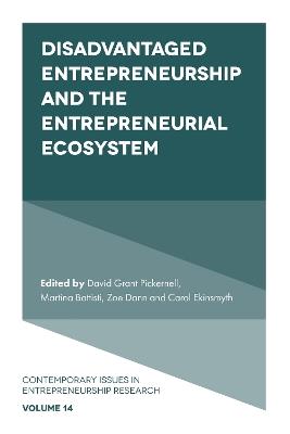 Disadvantaged Entrepreneurship and the Entrepreneurial Ecosystem - cover