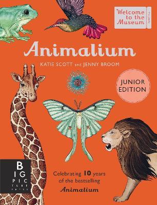 Animalium (Junior Edition) - Jenny Broom - cover