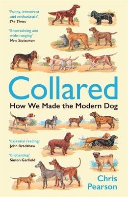 Collared: How We Made the Modern Dog - Chris Pearson - cover