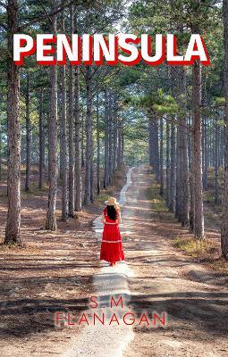 Peninsula - S M Flanagan - cover