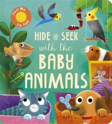 Hide and Seek with the Baby Animals - Molly Littleboy - cover