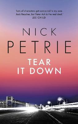 Tear It Down - Nick Petrie - cover