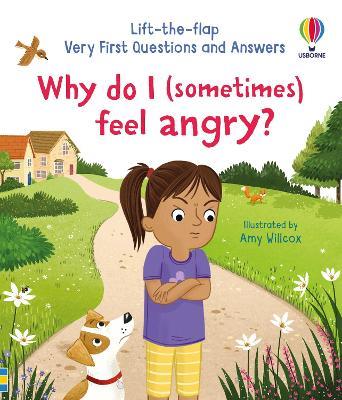 Very First Questions and Answers: Why do I (sometimes) feel angry? - Katie Daynes - cover