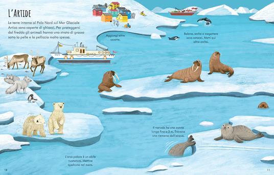 Pianeta Terra. Con adesivi - Kristie Pickersgill - 2