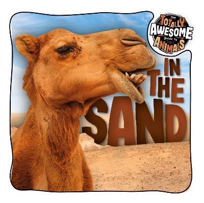 In the Sand - Brenda McHale - cover