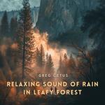 Relaxing Sound of Rain in Leafy Forest