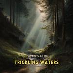Trickling Waters