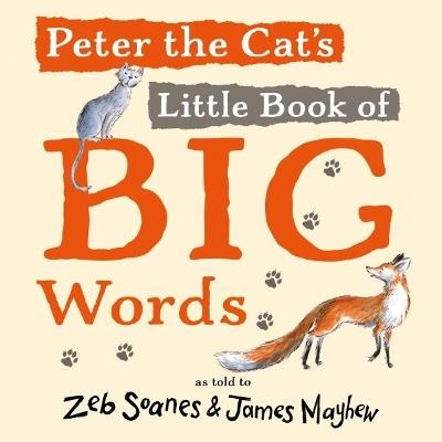 Peter the Cat's Little Book of Big Words - Zeb Soanes - cover