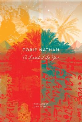 A Land Like You - Tobie Nathan,Joyce Zonana - cover