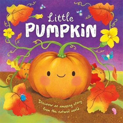 Little Pumpkin - Autumn Publishing - cover