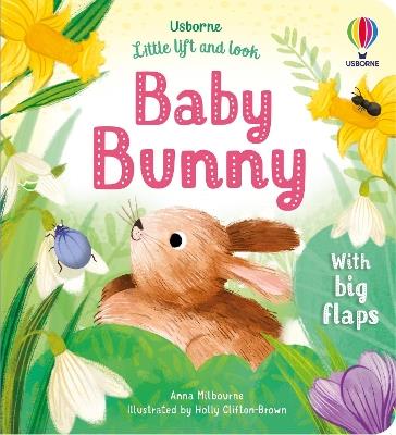 Little Lift and Look Baby Bunny - Anna Milbourne - cover