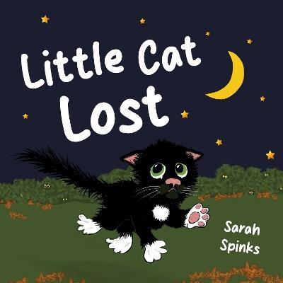 Little Cat Lost - Sarah Spinks - cover