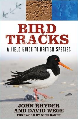 Bird Tracks: A Field Guide to British Species - John Rhyder,David Wege - cover
