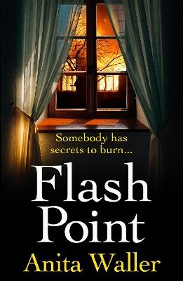 Flash Point: The BRAND NEW shocking, page-turning psychological thriller from Anita Waller - Anita Waller - cover