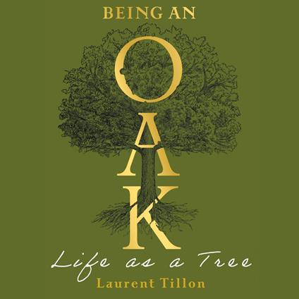Being an Oak