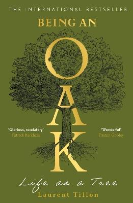 Being an Oak: Life as a tree - Laurent Tillon - cover
