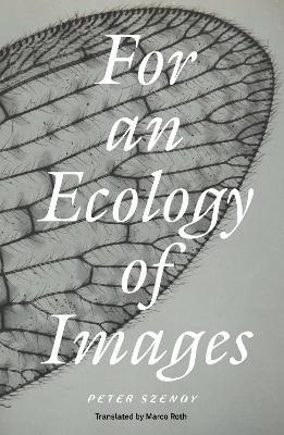 For an Ecology of Images - Peter Szendy - cover