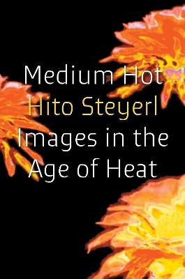 Medium Hot: Images in the Age of Heat - Hito Steyerl - cover