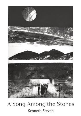 A Song Among the Stones - Kenneth Steven - cover