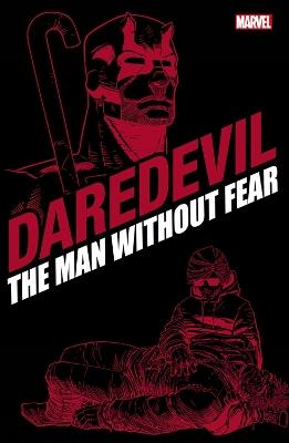 Daredevil: The Man Without Fear - Frank Miller - cover