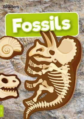 Fossils - Kirsty Holmes - cover