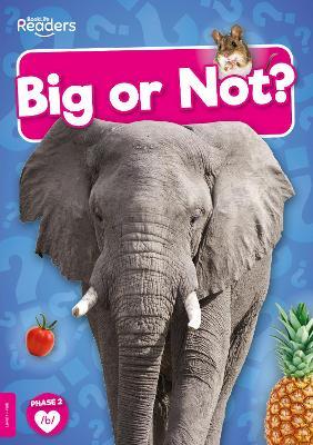 Big or Not? - William Anthony - cover