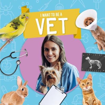 Vet - Joanna Brundle - cover