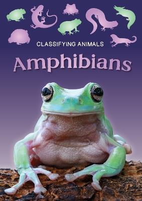 Amphibians - Charlie Ogden - cover