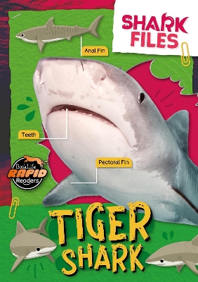 ibs