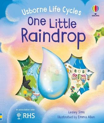 One Little Raindrop - Lesley Sims - cover