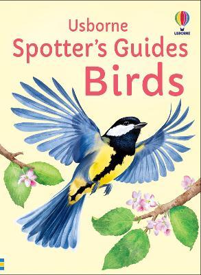 Spotter's Guides: Birds - Simon Tudhope,Kate Nolan - cover