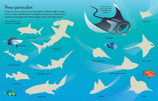Squali, razze e mante. Con adesivi. Ediz. illustrata - Jane Bingham - 2