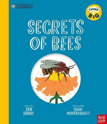 University of Cambridge: Think Big: Secrets of Bees - Ben Hoare - cover