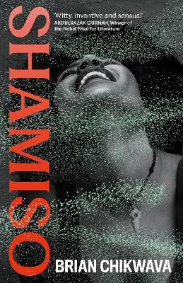 Shamiso - Brian Chikwava - cover