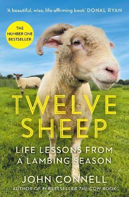 Twelve Sheep: Life lessons from a lambing season - John Connell - cover