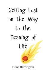 Getting Lost on the Way to the Meaning of Life