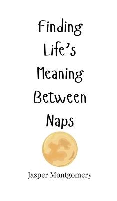 Finding Life's Meaning Between Naps - Jasper Montgomery - cover