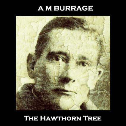 Hawthorn Tree, The