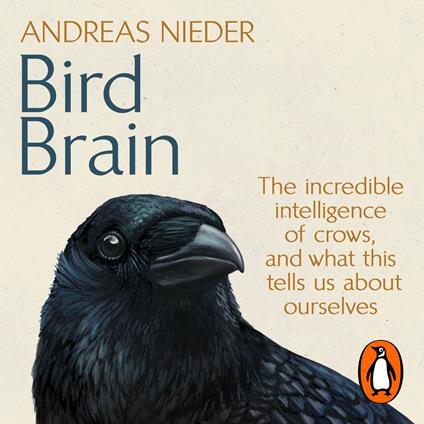 Bird Brain