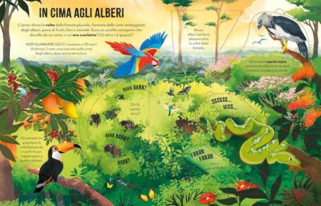 Viaggio in Amazzonia - Rob Lloyd Jones - 2
