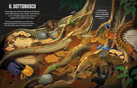 Viaggio in Amazzonia - Rob Lloyd Jones - 4